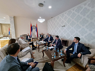 Република Српска - БиХ - странке