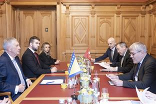 БиХ - Швајцарска - Радмановић, Нусбауер