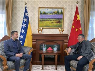 БиХ - Кина - Гогановић, Даке