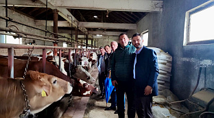 Република Српска - Приједор - Градска управа