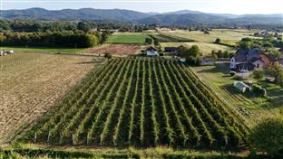 Република Српска - органска производња