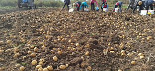 Република Српска - Рогатица - пољопривреда