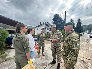 БиХ - Оружане снаге - ЕУФОР
