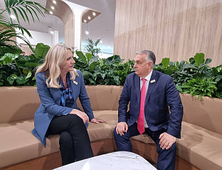 БиХ - српски члан Предсједништва