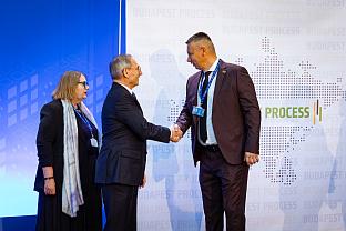 БиХ - Мађарска