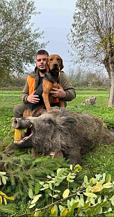 Република Српска - Дервента - лов