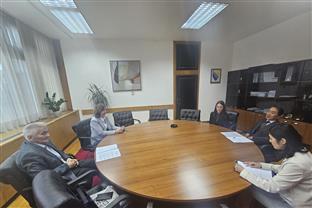 БиХ - Шпирић, Кинефучи