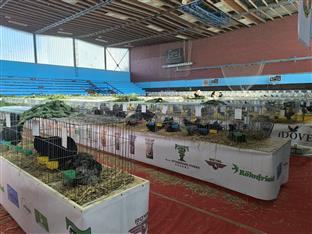 Република Српска - Приједор - ситне животиње