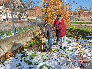 Република Српска - Шамац - екологија