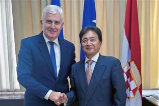 БиХ - Јапан - Човић, Кинефучи