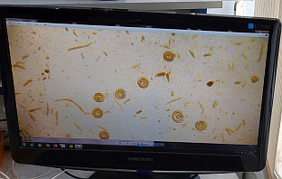 Република Српска - Пале - ветеринарска станица