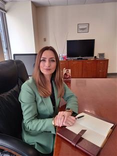 БиХ - САД - избори