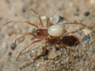 Република Српска - Добој - екологија