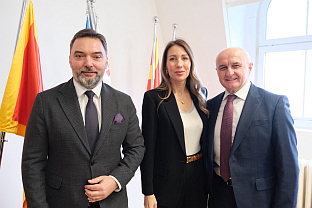 БиХ - Енергетска заједница - Кошарац, Ђокић