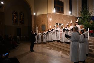 БиХ - Амбасада Шведске