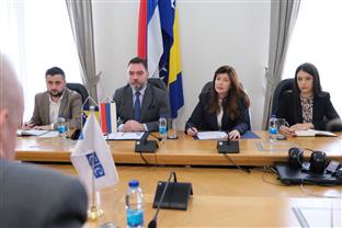 БиХ - ОЕБС - Кошарац, Агелер