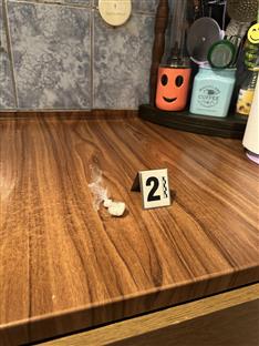 Република Српска - МУП - акција "Гамбит"