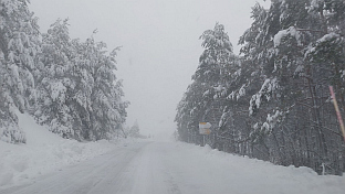 ФБиХ - Гламоч - Радивојша