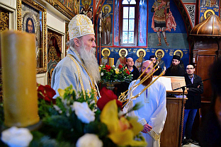 Црна Гора - СПЦ - Материце