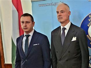 БиХ - Мађарска - одбрана