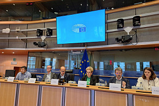 БиХ - Парламентарна скупштина