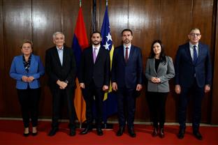 БиХ - Јерменија