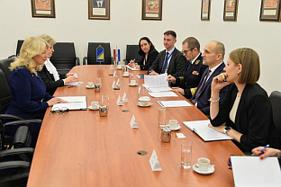 БиХ - Хрватска - Бајтал, Анушић