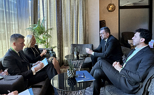 БиХ - Србија - Конаковић, Мишчевић