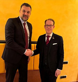 БиХ - Шведска - Конаковић, Билстром