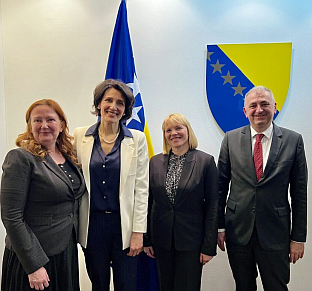 БиХ - Дирекција за европске интеграције