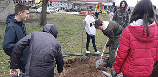 Република Српска - Брод - уређење општине