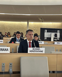 УН - БиХ - Вујић 