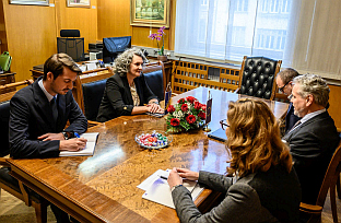 БиХ - ЕУ - Селимовић, Сатлер