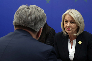 БиХ - Хрватска - Кришто, Пленковић