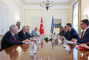 БиХ - Турска - Бећировић, Гулер