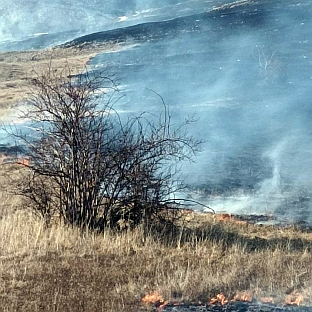 Република Српска - Гацко - пожари