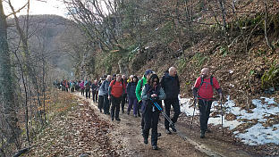 Република Српска - Власеница -  "Поход на Пјеновац" 