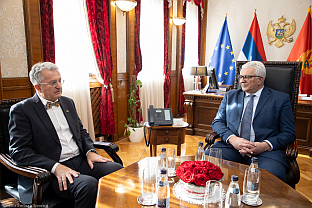 Црна Гора - Србија - Мандић, Родић