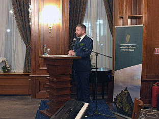 БиХ - Ирска - пријем