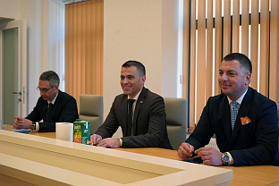 Србија - дијаспора