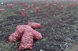 Република Српска - Рогатица - пољопривреда