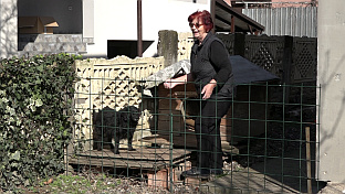 Република Српска - Шамац - Ветеринарска станица