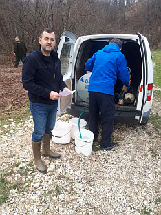 Република Српска - Костајница - порибљавање