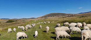 ФБиХ - Гламоч - српски повратници