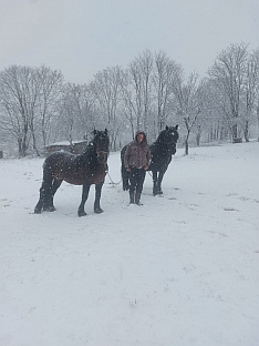 ФБиХ - Дрвар - снијег