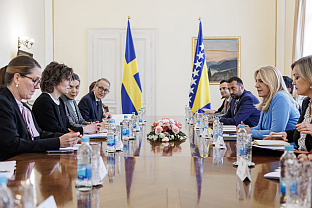 БиХ - Шведска