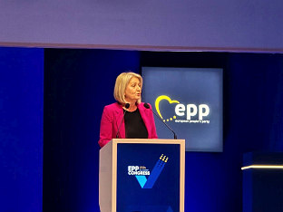 БиХ - Кришто