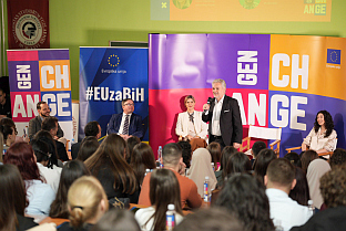 БиХ - Делегација ЕУ