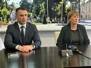 Србија - дијаспора - Милићевић