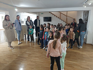 Република Српска - Вишеград - култура